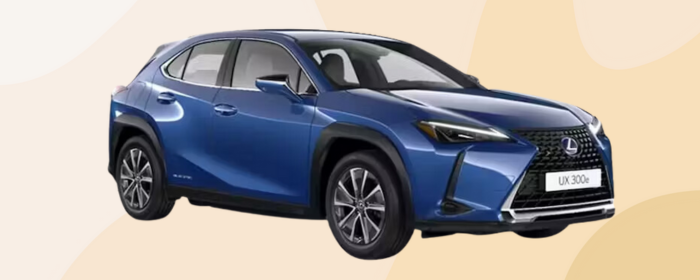 Lexus UX 300e Review