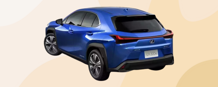 Lexus UX rear